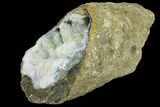 Long, Botryoidal, Chalcedony Filled Limb Cast - Indonesia #147546-2